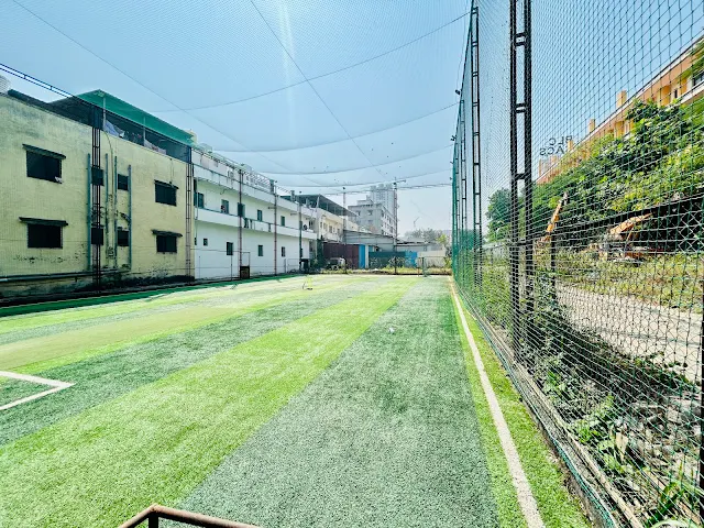 Turf photo 6