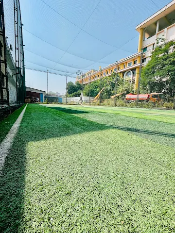 Turf photo 2