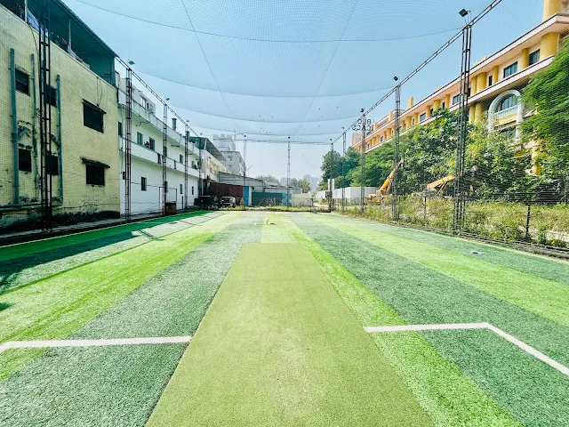 Turf main photo