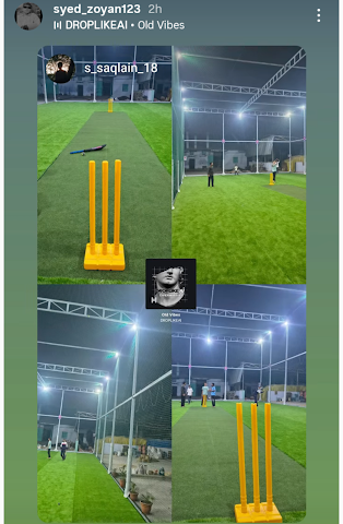 Shree Ram Sports Turf