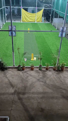 Turf photo 2