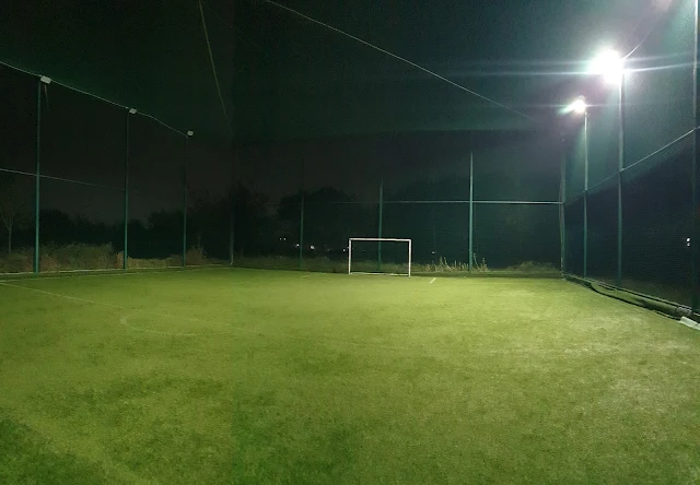 Turf photo 7