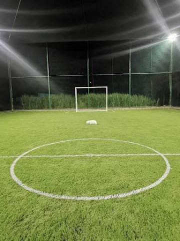 Turf photo 6