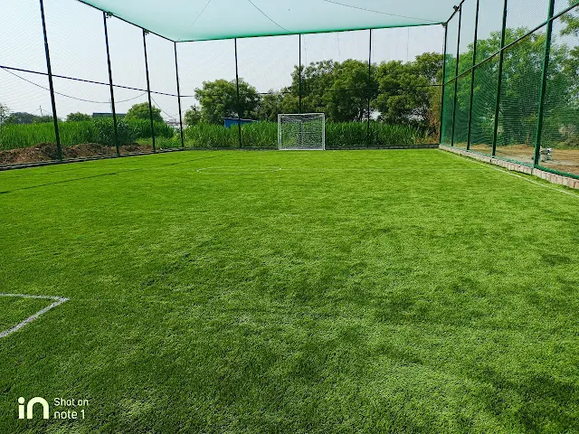Turf main photo