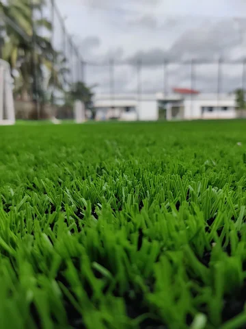 Turf photo 3