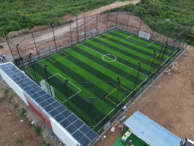Turf photo 4