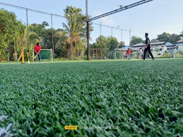 Turf main photo