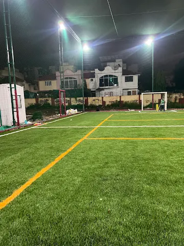 Turf photo 5