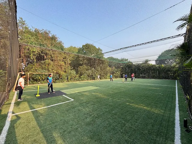 Turf photo 3