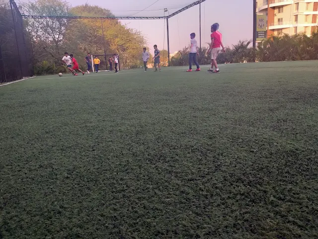 Turf photo 8