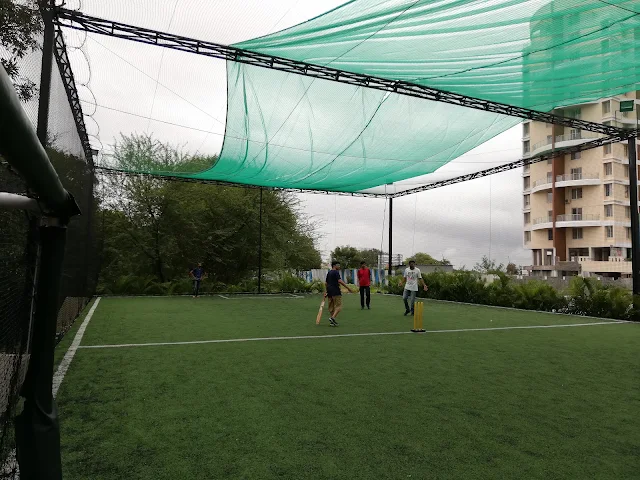 Turf photo 9