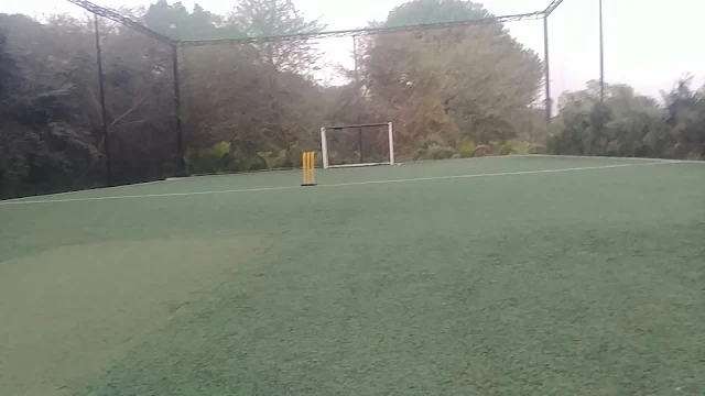 Turf photo 12