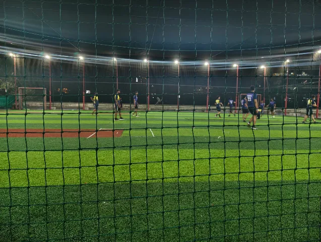 Turf photo 9