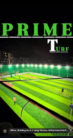 Turf photo 2