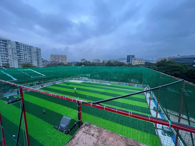 Turf photo 5