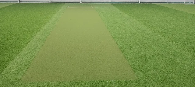 Turf photo 3