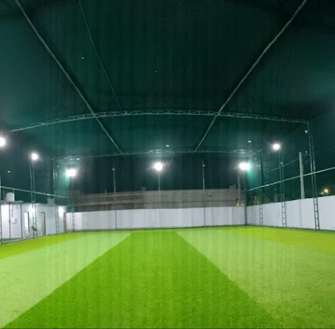 Turf photo 2