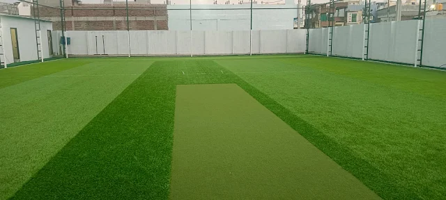 Turf photo 5