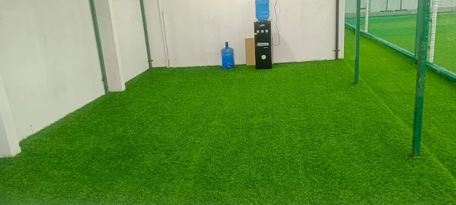 Turf photo 6