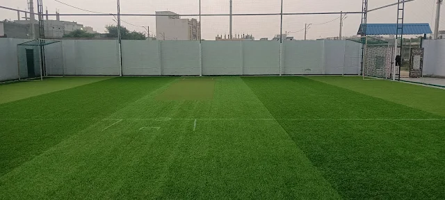 Turf photo 4