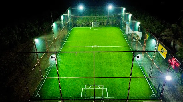 Turf photo 3