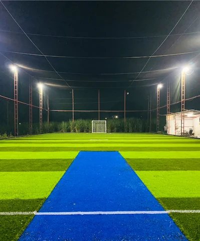 Turf photo 2