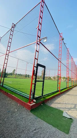 Turf photo 4