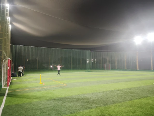 Turf photo 5
