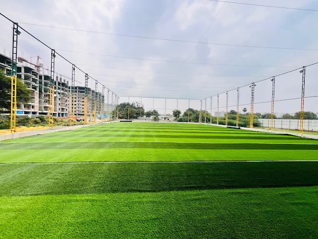 Turf photo 3