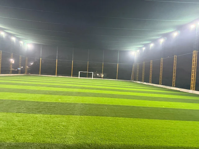 Turf photo 2