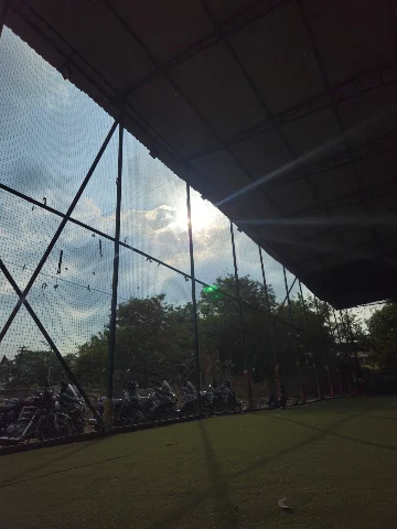 Turf photo 2