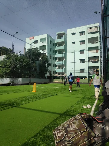 Turf photo 4