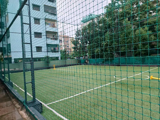 Turf photo 2