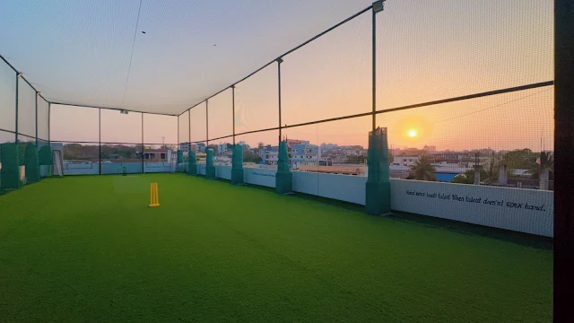 Turf photo 6