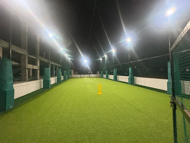 Turf photo 3
