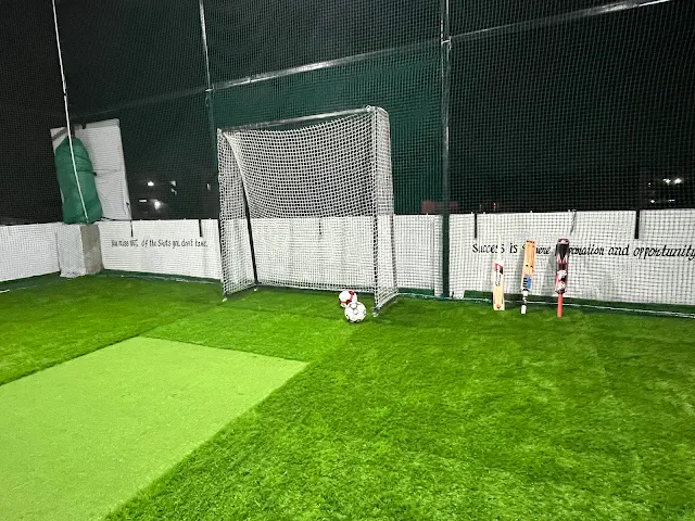 Turf photo 5
