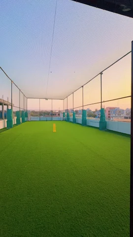 Turf photo 2