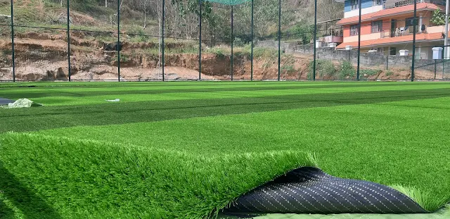Turf photo 2