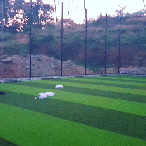 Turf photo 5
