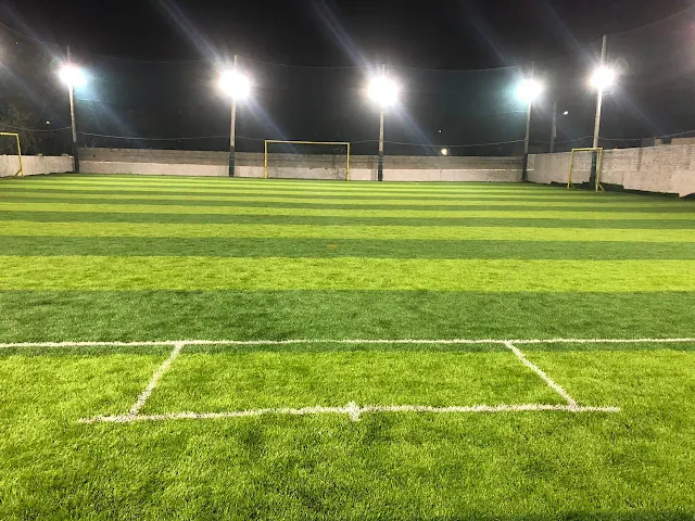 Turf photo 2