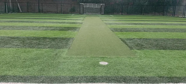 Turf main photo