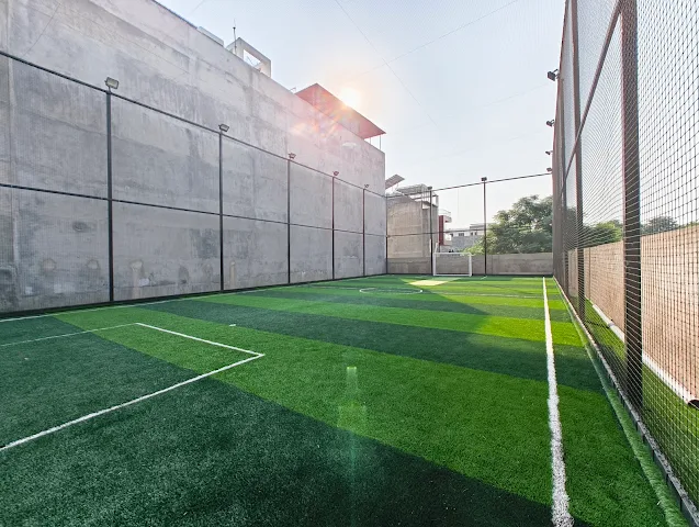 Turf photo 6