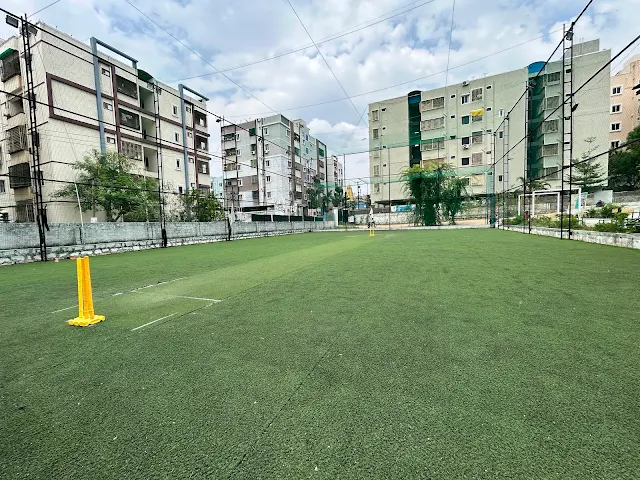 Turf photo 5