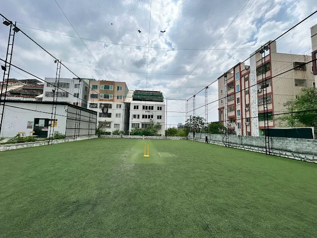 Turf photo 3