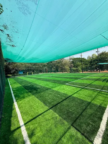 Turf photo 9