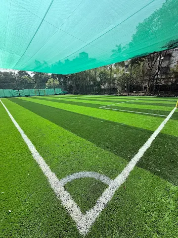Turf photo 8