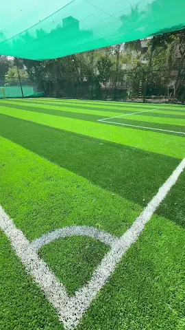 Turf photo 2