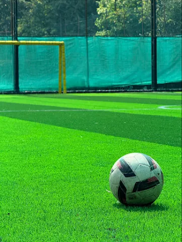 Turf photo 4