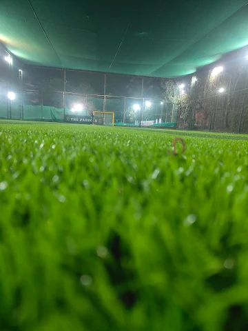 Turf photo 11