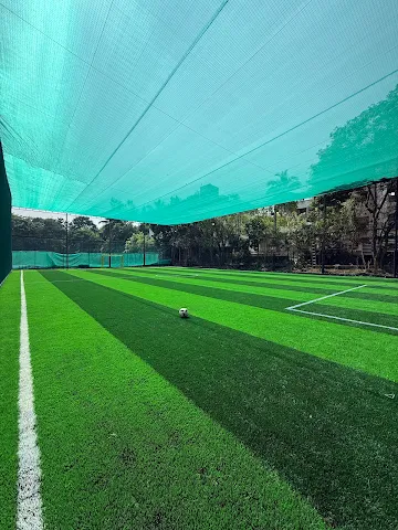 Turf photo 10